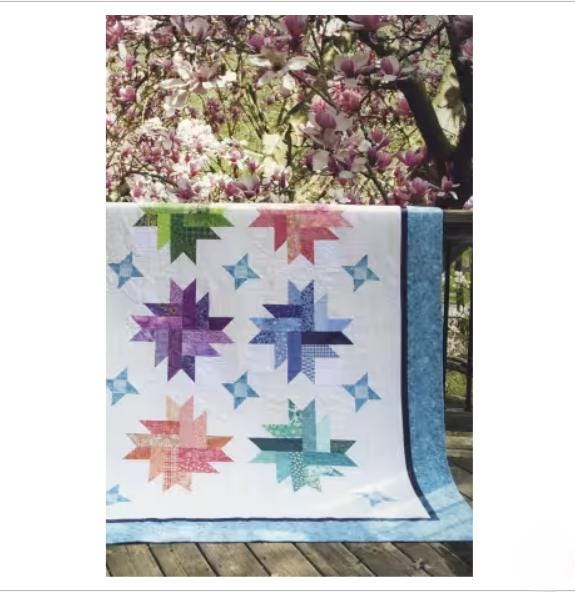 Inspired Star Block Quilts - Sandy Berg