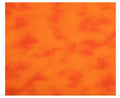Natures Bounty - Mango - 3 Yard Cut - Blank Quilting